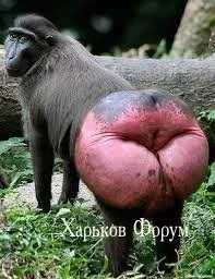 3dea3a93131df0cc5f1.webp