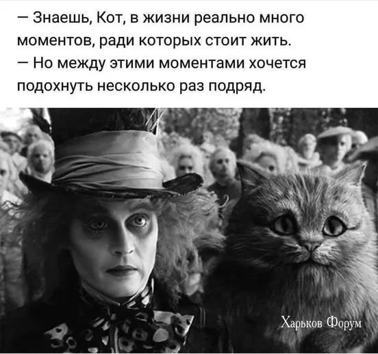 3dedbeec45708f485af.webp