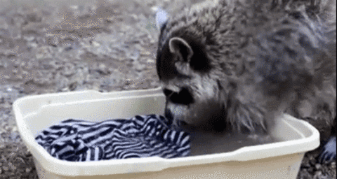 3dfdfd.gif