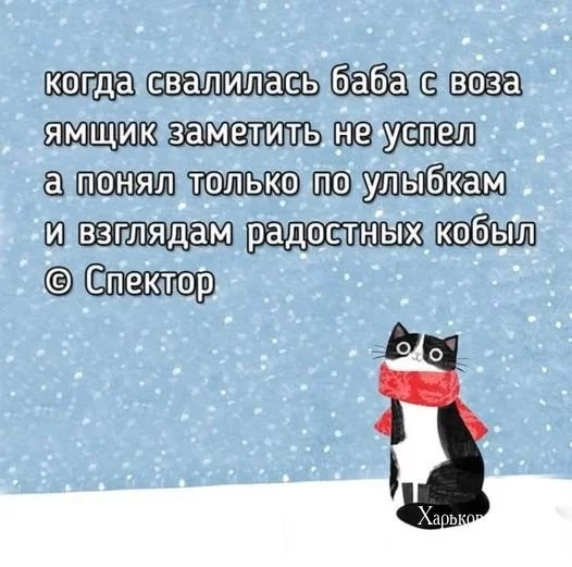 3dfe80725b8a0c156.webp
