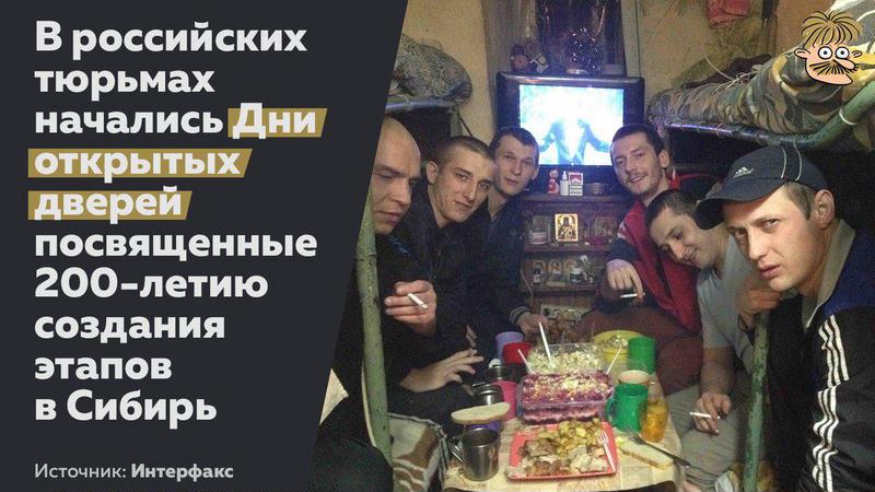 3djbcb.jpg