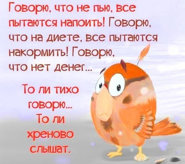 3djjeb.webp