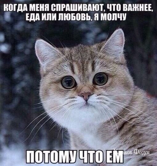 3e0f46fb6d20f53fc7caca.jpg
