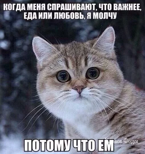 3e0f46fb6d20f53fc7caca.webp