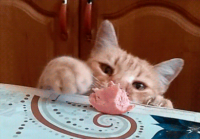3e14cb097b0b5a0bd35c1.gif