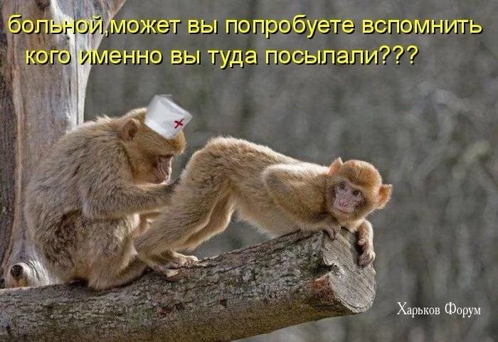 3e2c1f1aee6aaf7c06bd.webp