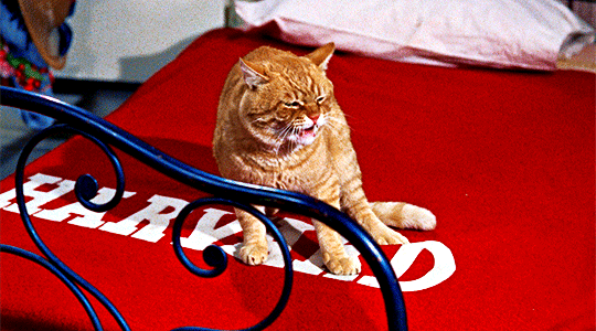 3e3016a78f8072b22587042273123a56e5fd2ec1.gif