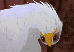3e33221e65.gif