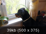 3e34695c7ad88a345387845f166ad004.png