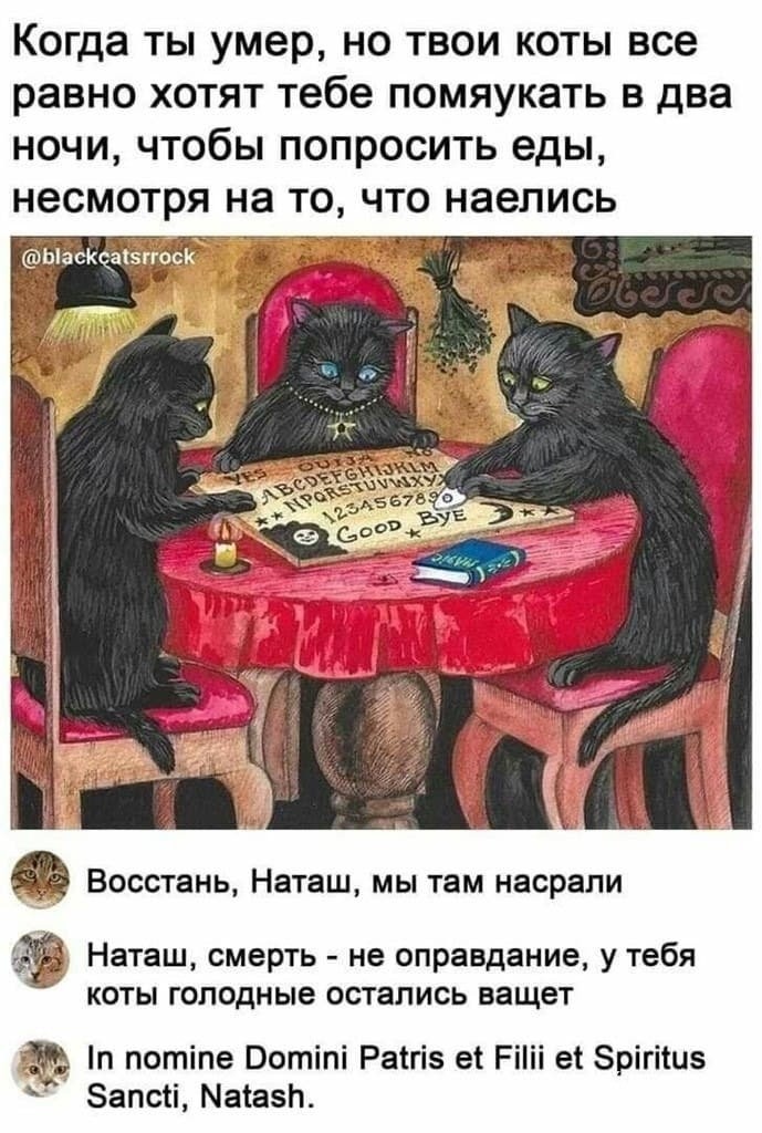 3e36e1b31dd506c2f7e8.jpg