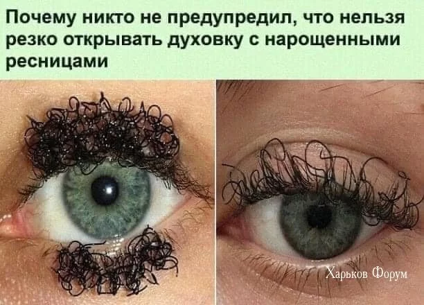 3e41d3207c2fe6aeb5.webp