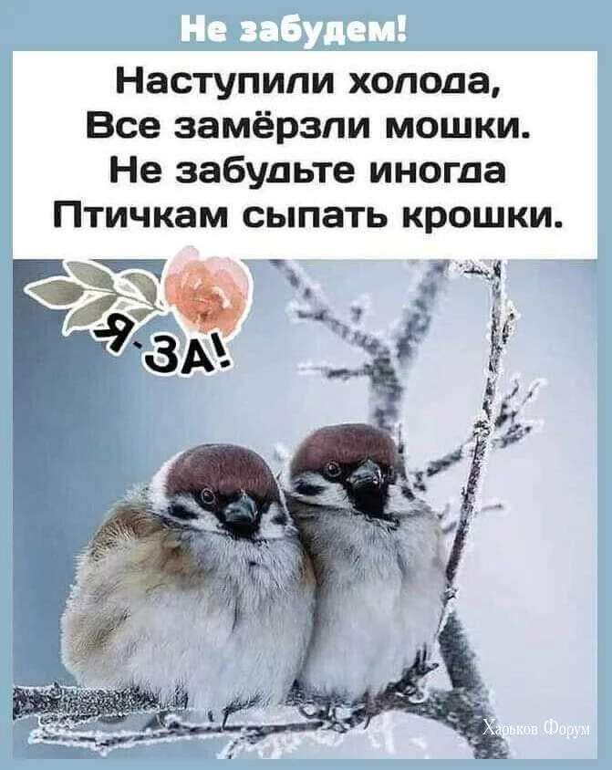 3e513ece1ec48022752cc44c.webp