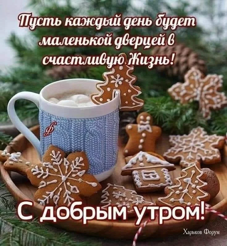 3e5407d08af213b38a889.webp