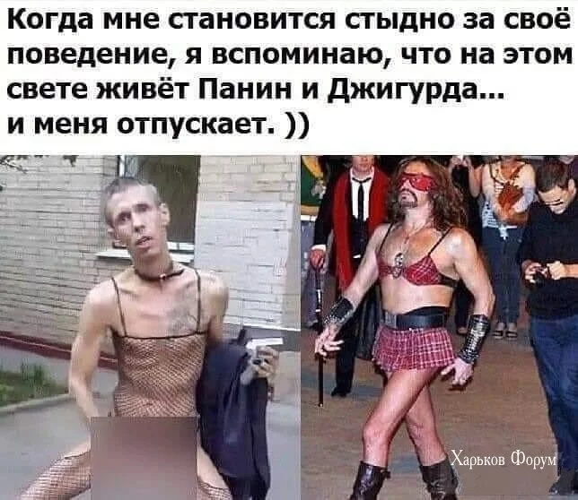 3e5b51869400061c416.webp
