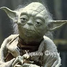 3e5bd7b2ec0faf509.webp