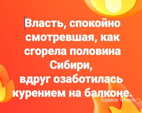 3e5be53d1576205ddc47a847.png