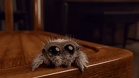 3e61b54f6437790e8a.gif