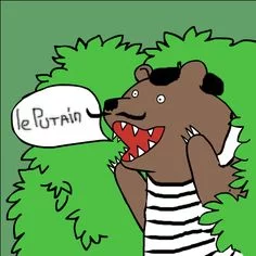 3e7580fbfe08f252dc51934ab56c5a18--image-search.webp