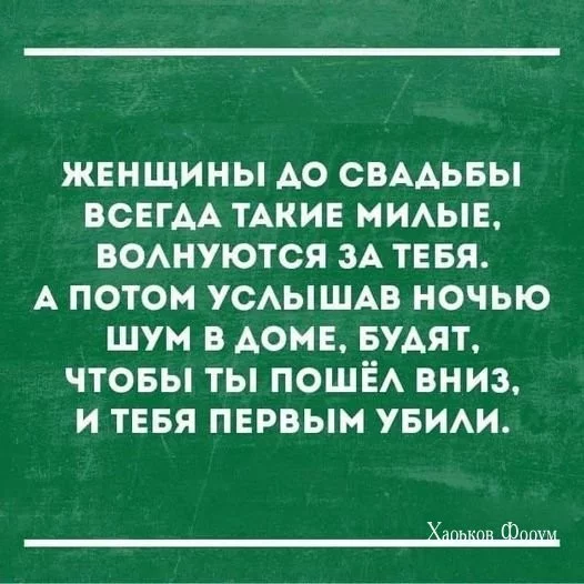 3e8fac2439fd07664b8ef63.webp