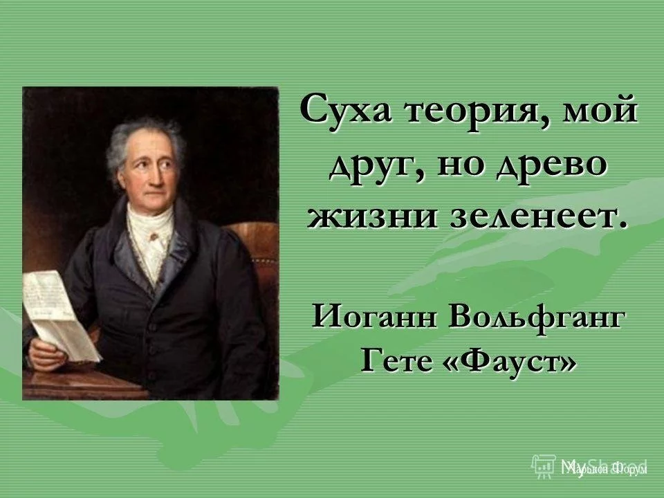 3e9592aae142b3168c0391.webp