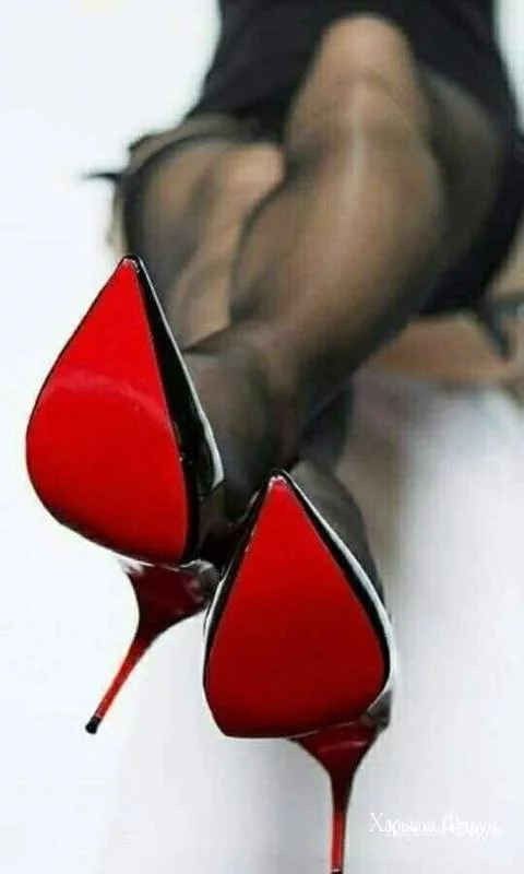 3e96c5b603c8df32d2feb.webp