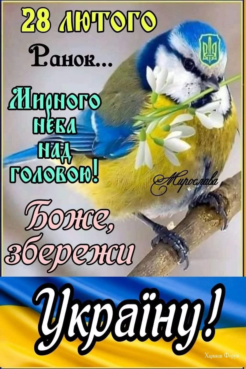 3ebe40d3bc2a868c83ac.webp