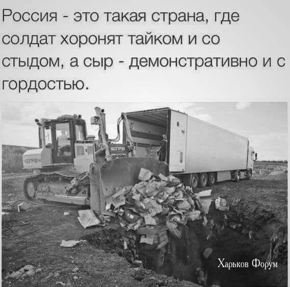 3ec36779ebfb43b640.webp