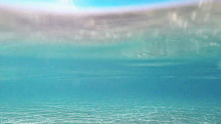 3ecfa38220aa1aa2ef5e93cc73f4c65b.gif
