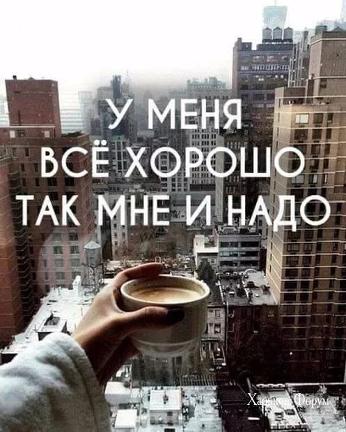 3ed2c6dd632eae053f61.webp