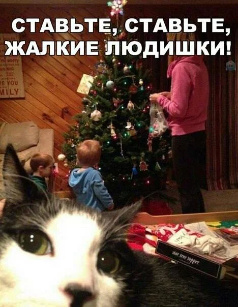 3eeefd.webp