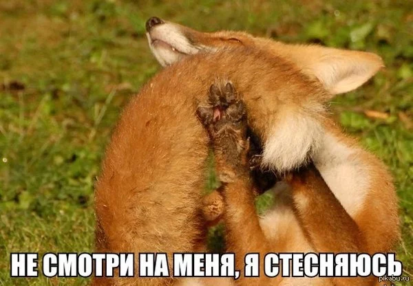 3eegda.webp