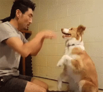 3efcdcfcbc1c89719a75.gif