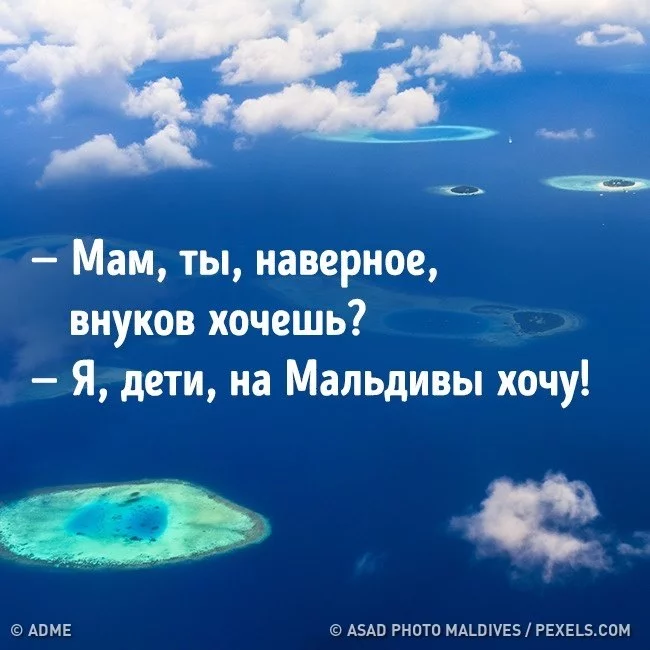 3efdfa.webp