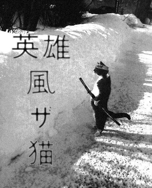 3f1a9e1acf89a5c5.webp