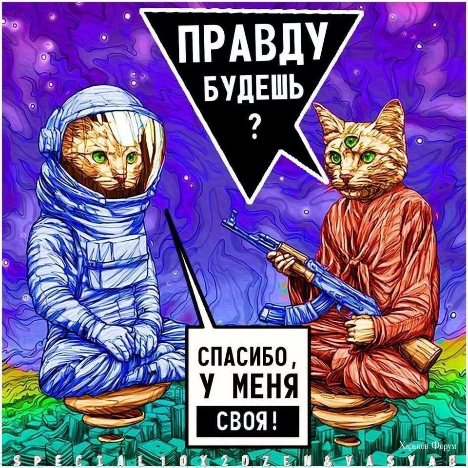 3f24e5750fff2f7b0d70.webp