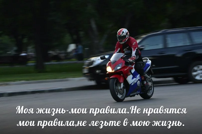 3f263a86989dcfdb8555ebb0b0d75f96.webp