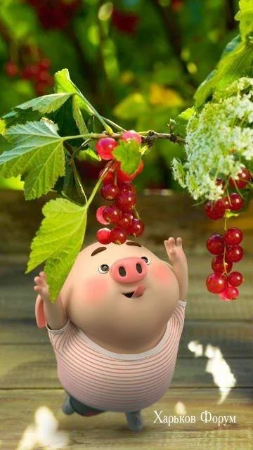 3f42642bece05e73d.webp