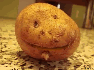 3f52b70a1be3f90d9acd.gif
