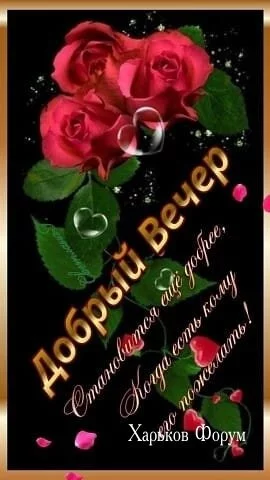 3f5a218b57cee368.webp