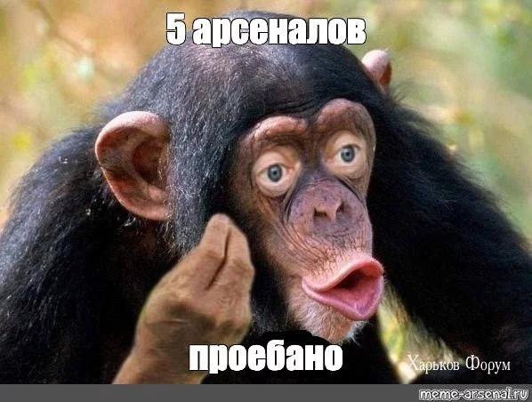 3f614db826bb7d1774d55.webp