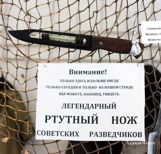 3f7b1b2651d6c7c40778f6.webp