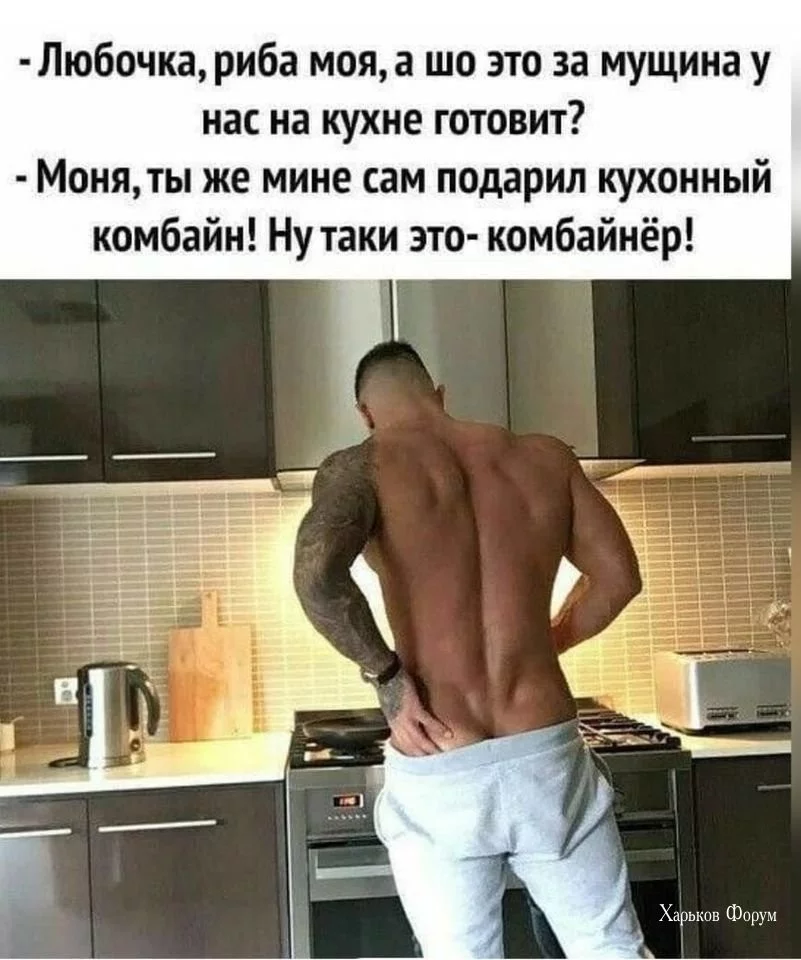 3f87c4e651d9ebc4cddf.webp