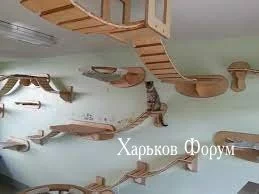 3f979ce2d9229b455d2001.webp