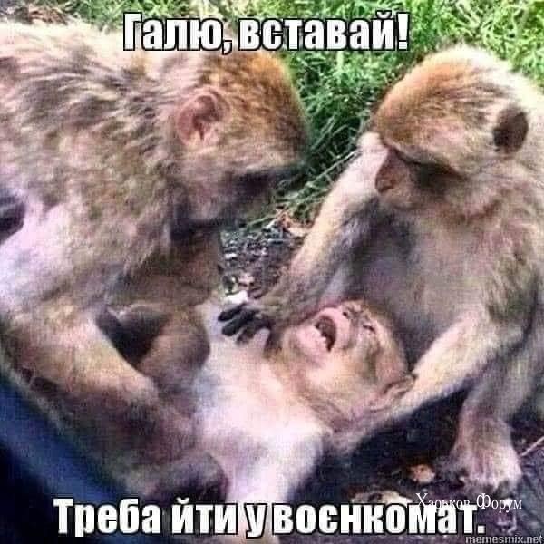 3fada9c70e6d6ae5.jpg