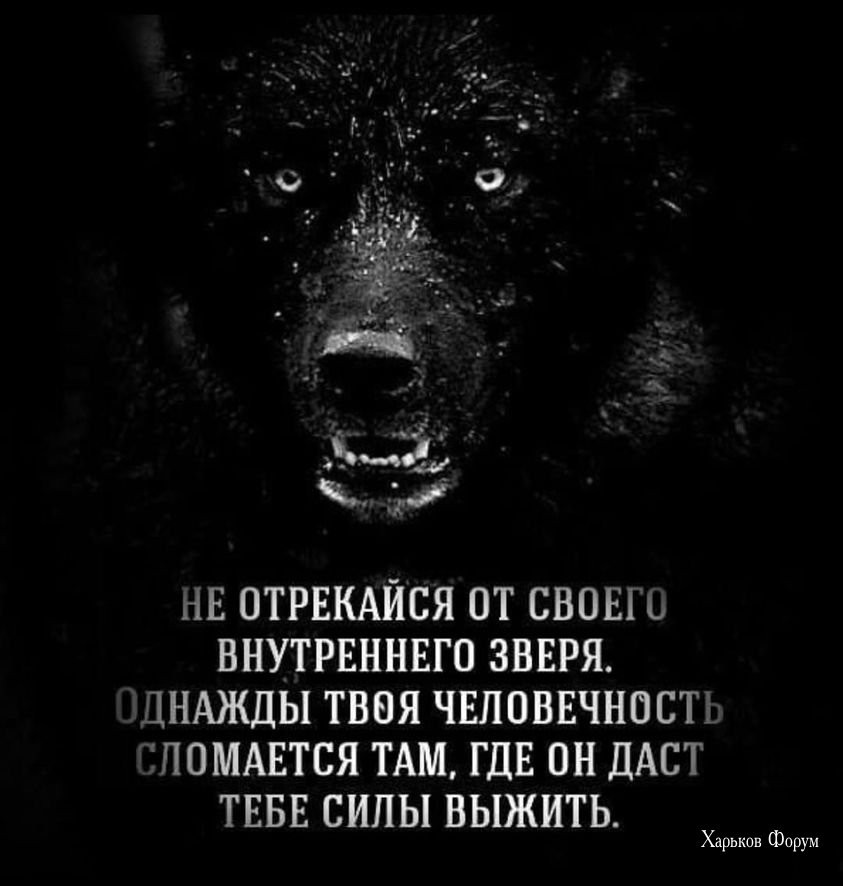 3fafc8680696ad1f1.jpg