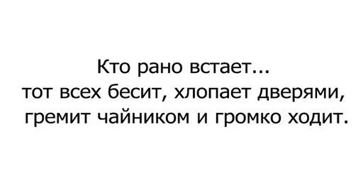 3fbo2Qb_cho.webp