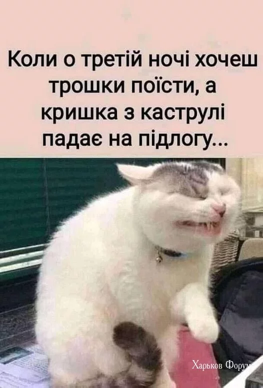 3fdfed590c4f4813af588.webp