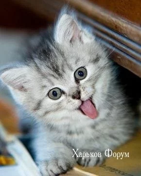 3fe7a7f2d0510b92fa5bbe.webp