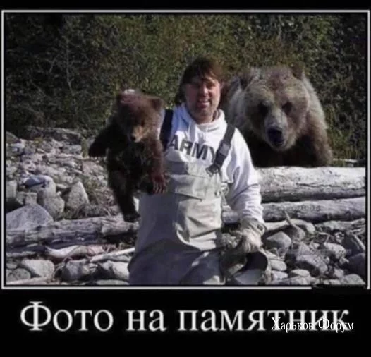 3ffb7e1b1cf1587ea27d78.webp