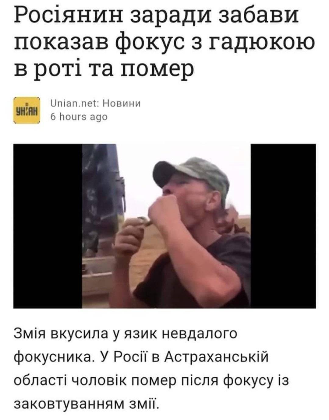 3ffc9b07d5341bdf56642a7.jpg